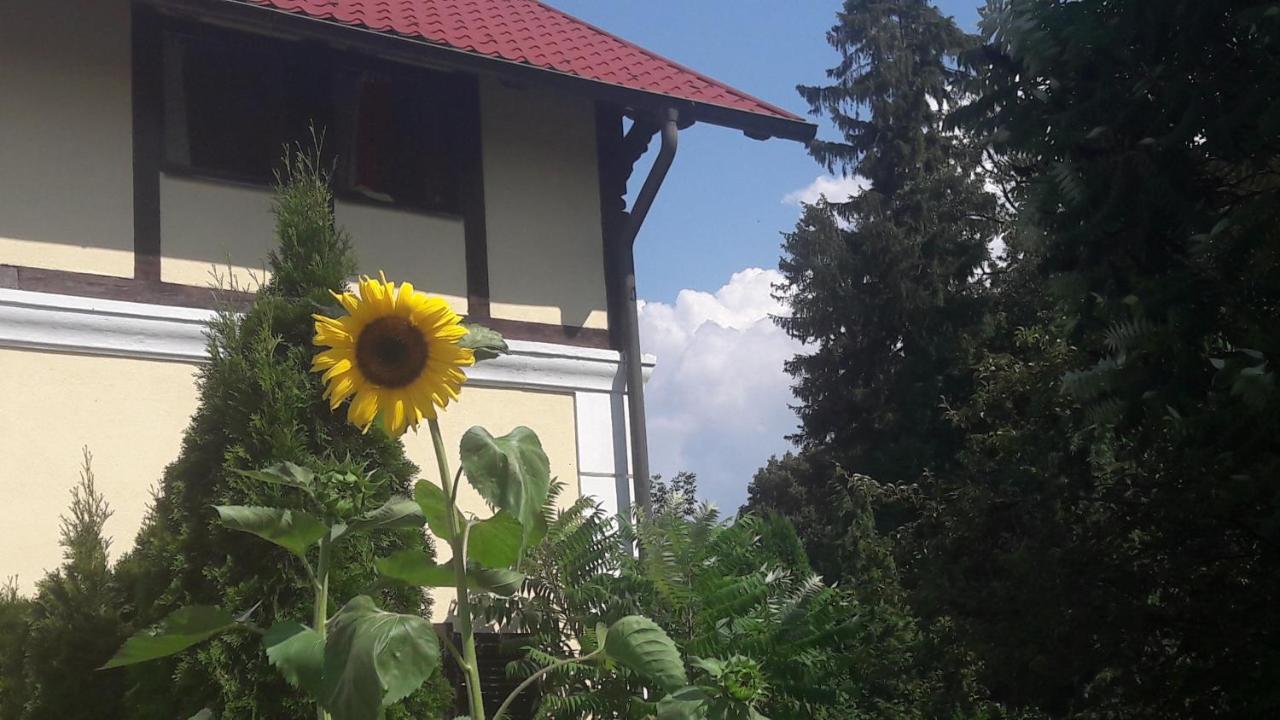 Penzion Pod Orechom Turcianske Teplice Luaran gambar