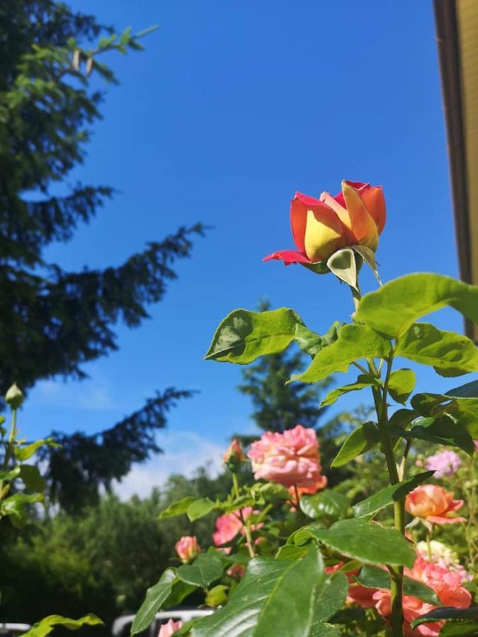 Penzion Pod Orechom Turcianske Teplice Luaran gambar